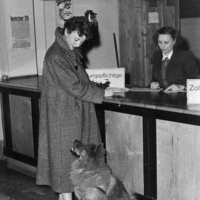 1952 - Frauchen entrichtet pflichtschuldig die Hundesteuer. Fiffi passt ganz genau auf, was passiert