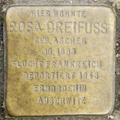Stolperstein für Rosa Dreifuss