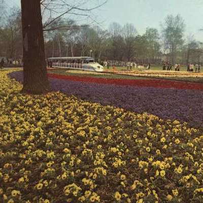 Blumenschau und Kleinbahn im Herzogenriedpark